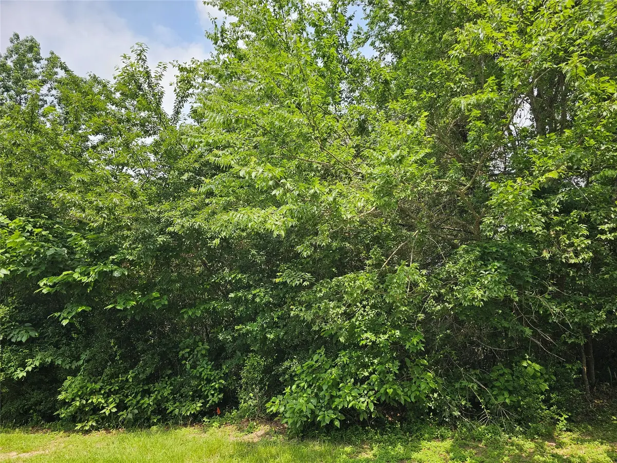 4813 W Fork Boulevard, Conroe, TX 77304 - Image #1