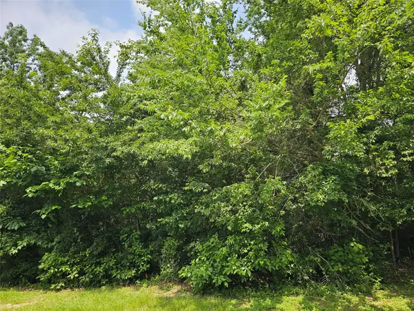 4813 W Fork Boulevard, Conroe, TX 77304