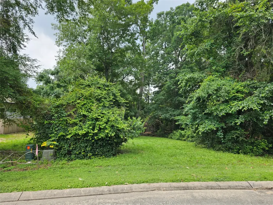 4813 W Fork Boulevard, Conroe, TX 77304 - Image #3