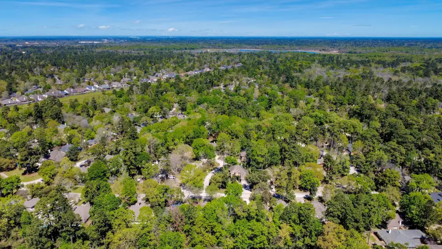 143 S Delta Mill Circle, Conroe, TX 77385 - #3