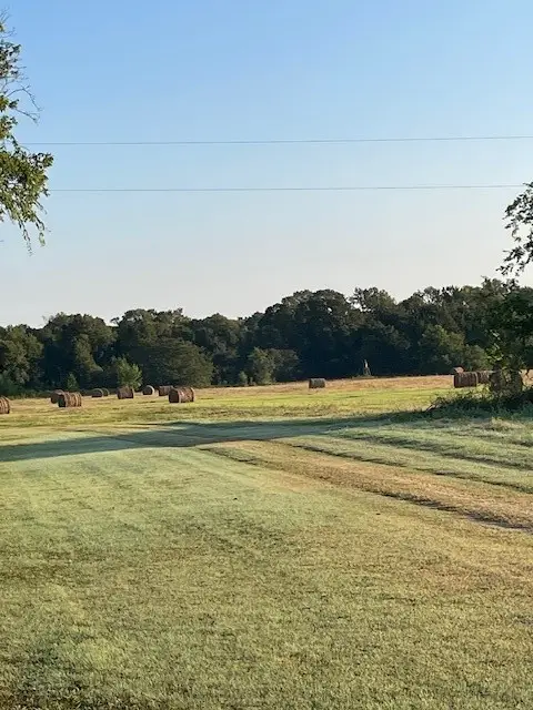 40606 Holik Road, Hempstead, TX 77445 - Image #2