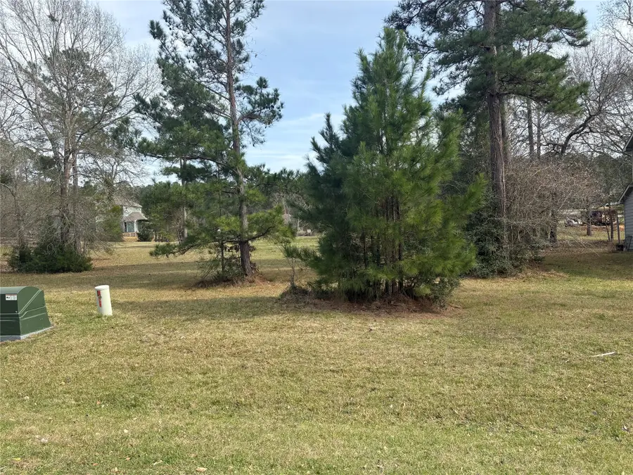 155 N Forest Drive, Huntsville, TX 77340 - #3