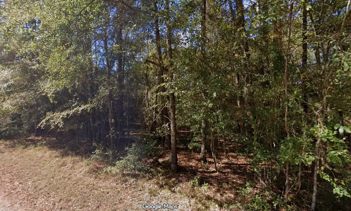 0 Anglers Drive, Trinity, TX 75862 - #1