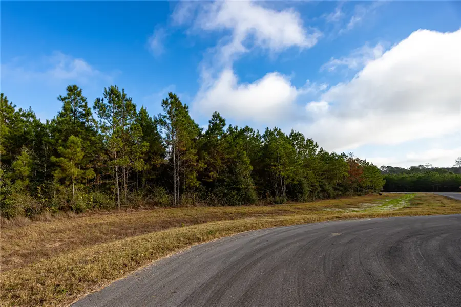 10517 Legends Road, Willis, TX 77378 - #3