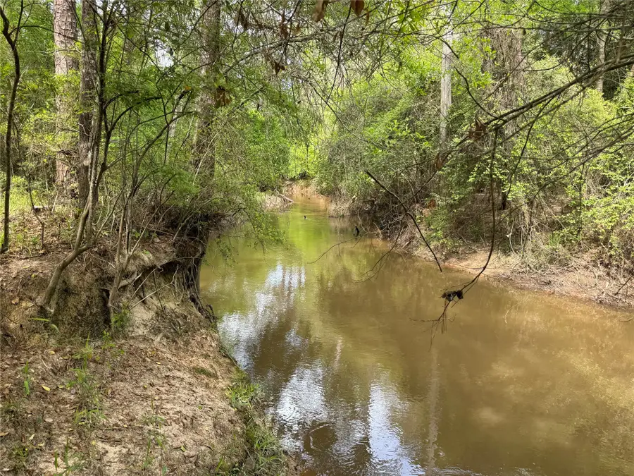 10586 Holland Road, Kountze, TX 77625 - Image #3