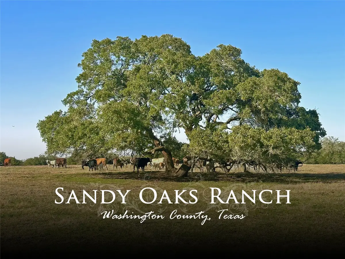 0 William Penn, Washington, TX 77880 - Image #1