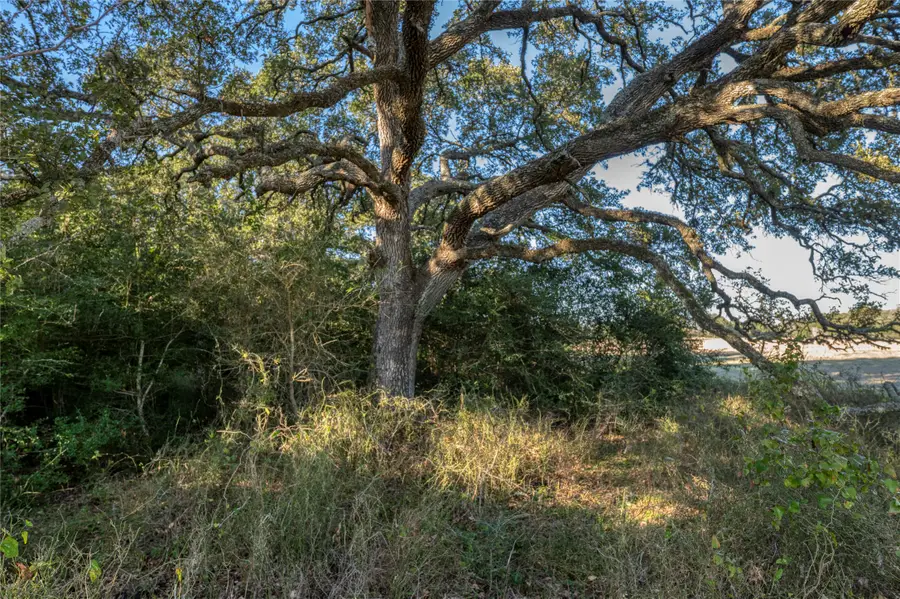 0 William Penn, Washington, TX 77880 - Image #2