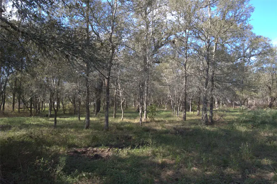 0 Kickler Road, Fayetteville, TX 78940 - #2