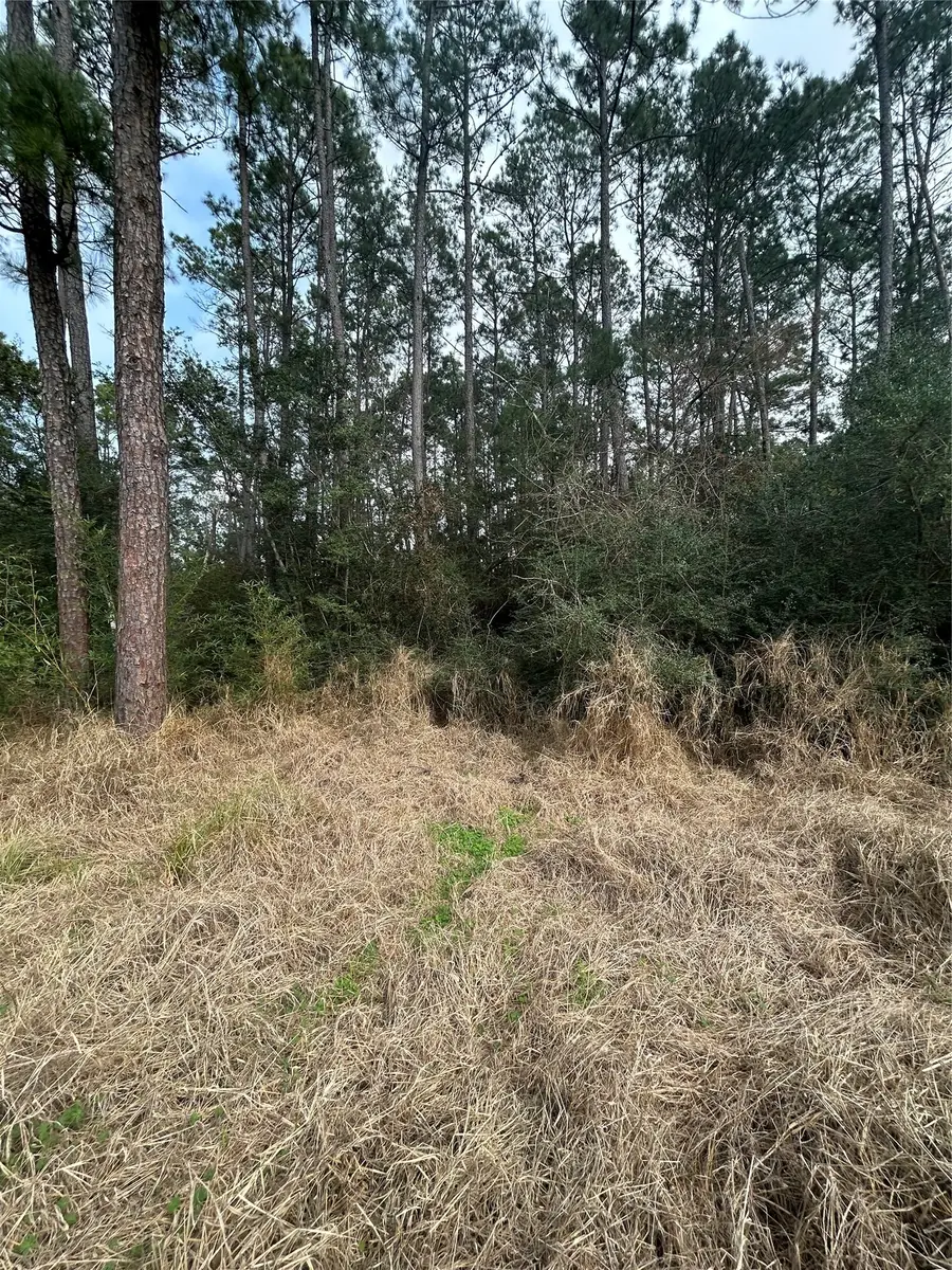 0 Tanglewood, Alvin Pearland, TX 77534 - #3