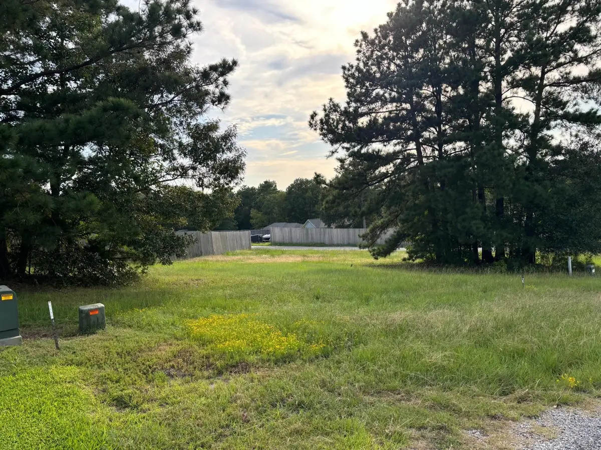 24 Silver Lakes Drive, Huntsville, TX 77340 - #1