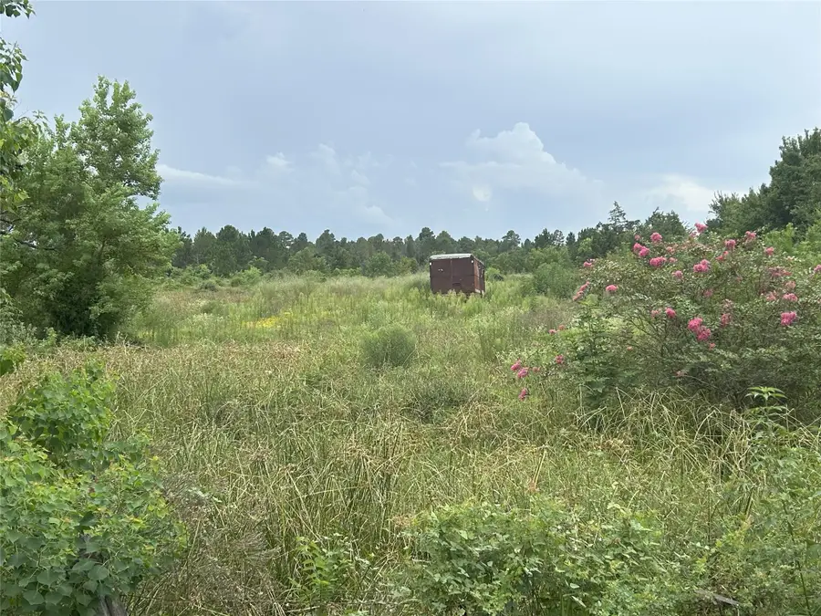 29913-A Waller Spring Creek Road, Waller, TX 77484 - #2