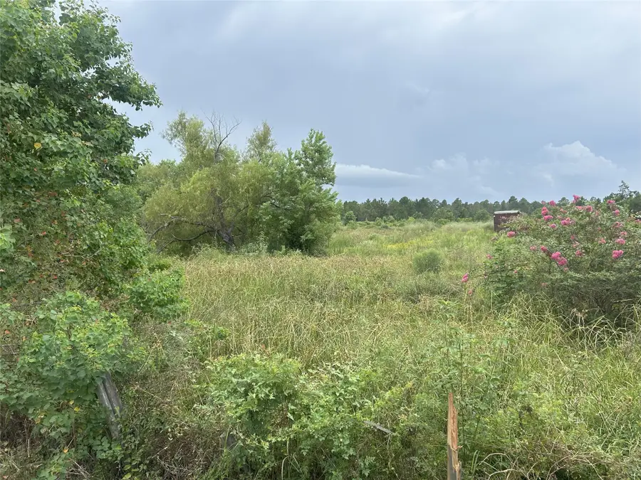 29913-A Waller Spring Creek Road, Waller, TX 77484 - #3