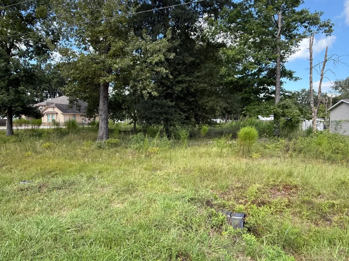 23923 Paper Wasp Lane, New Caney, TX 77357 - #1