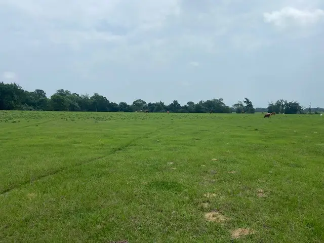 17139 Cr 319, Navasota, TX 77868 - #2