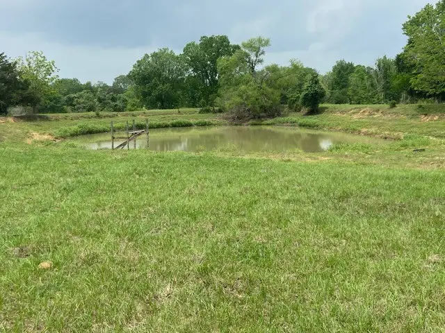 17139 Cr 319, Navasota, TX 77868 - #3