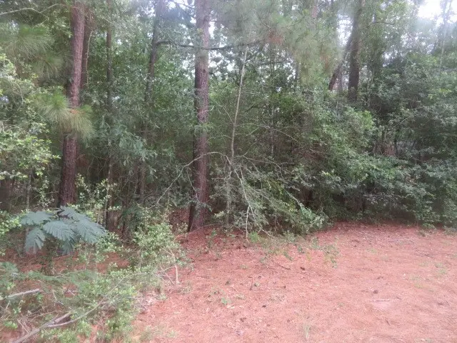 15245 Hillshire Pl, Plantersville, TX 77363 - #2
