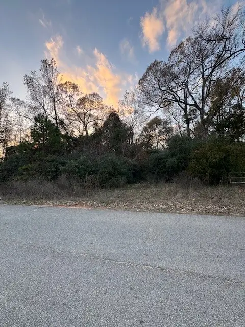 11305 Camp Creek Way, Willis, TX 77378 - Image #1