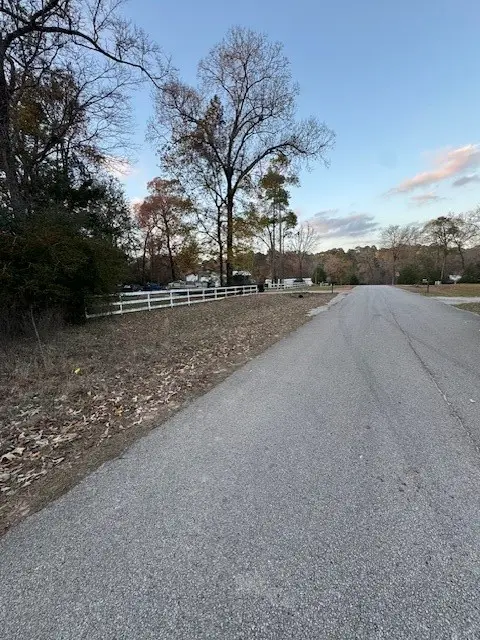 11305 Camp Creek Way, Willis, TX 77378 - Image #3