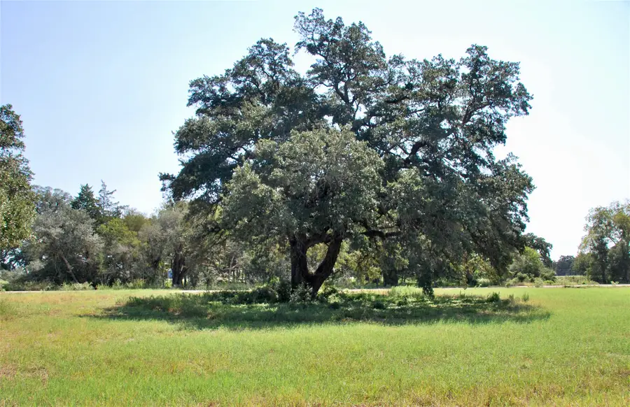 Lot 4 Harvell Lane, Schulenburg, TX 78956 - Image #3