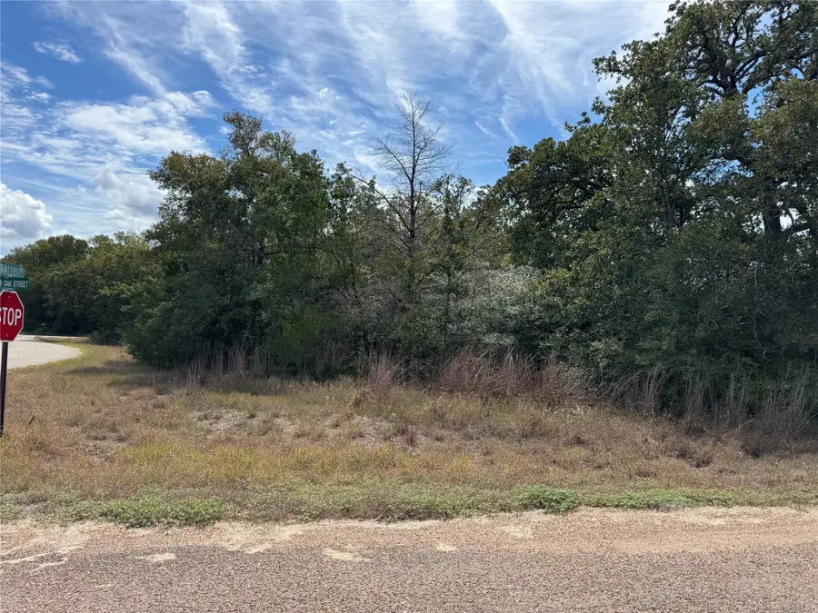TBD Water Oak St, Somerville, TX 77879 - Image #3