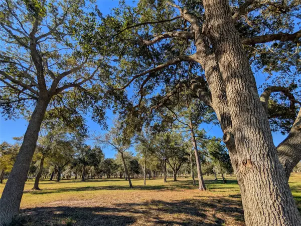 3724 County Road 326, Alvin, TX 77511