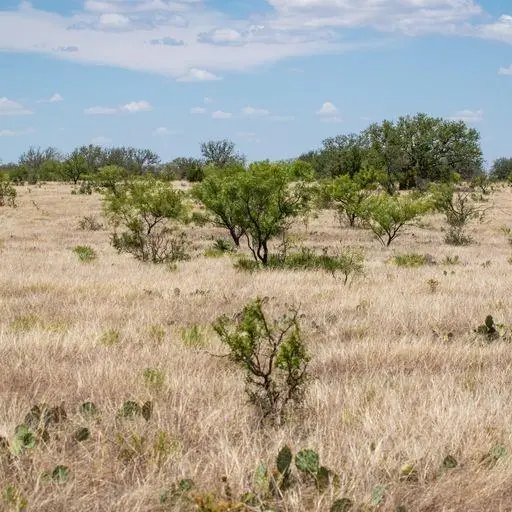 0 Starks Road, Mason, TX 76856 - Image #1