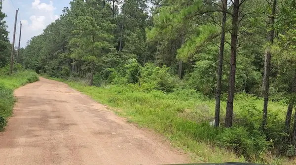 Lot 22 Scarlet Oak Drive, Plantersville, TX 77363