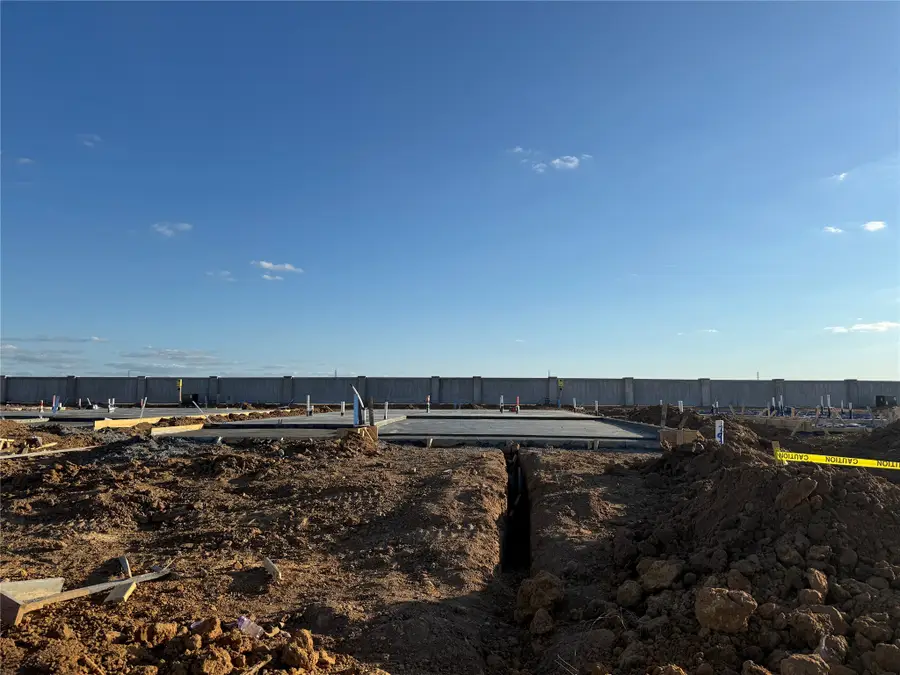 29203 Dandelion Sky Drive, Waller, TX 77484 - #2