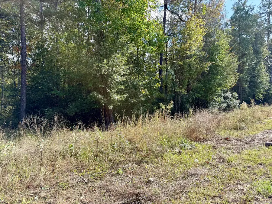 198 Bear Track Trail, Livingston, TX 77351 - Image #2