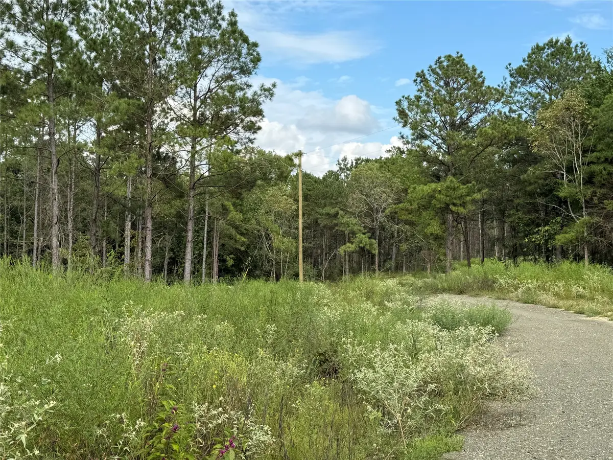 664 County Road 4872 -13, Timpson, TX 75975 - #1