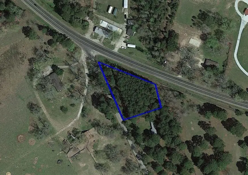 TBD Fm 356 Drive, Trinity, TX 75862 - #3