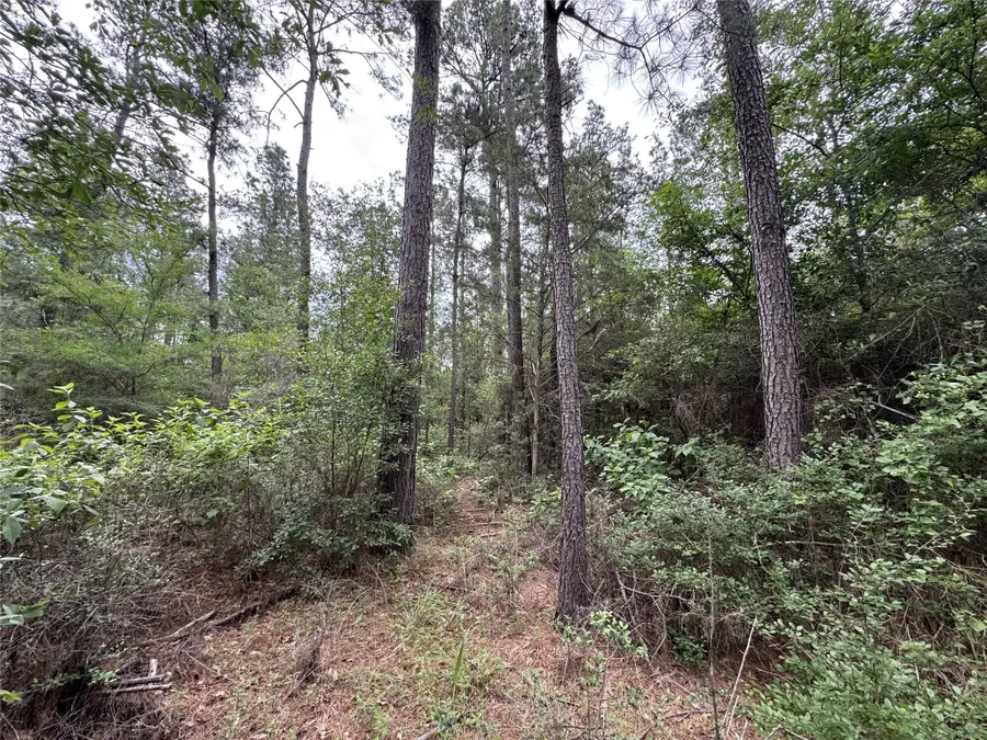 T4 Round Prairie Road, Huntsville, TX 77320 - Image #3