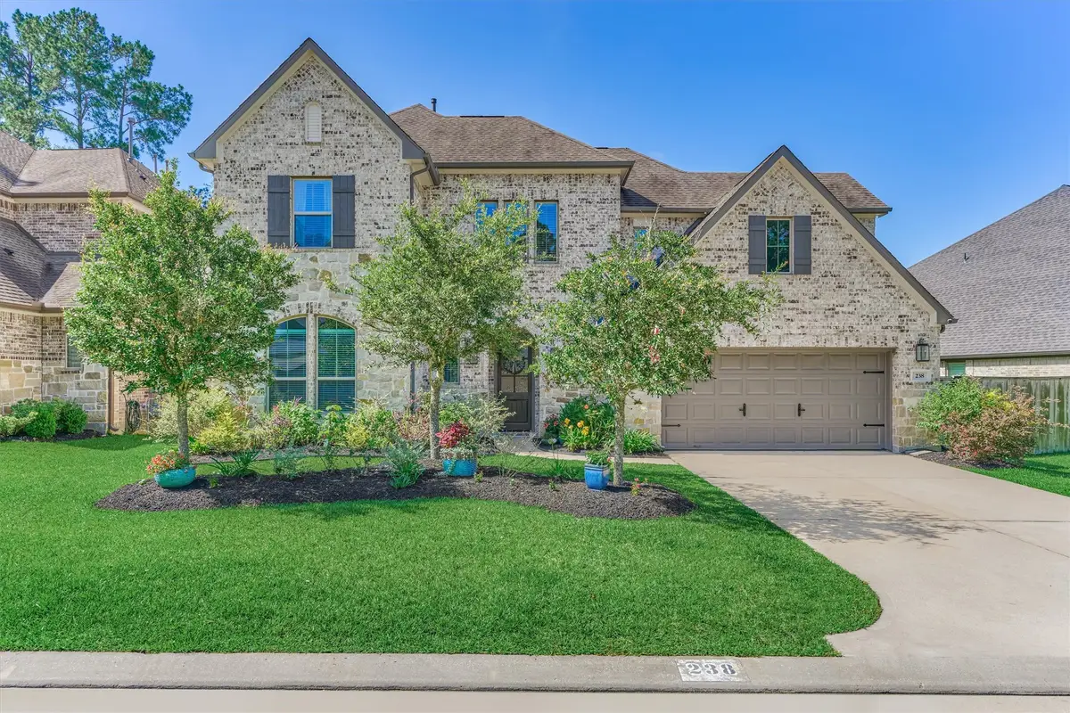 238 Bronze View Drive, Montgomery, TX 77316 - #1