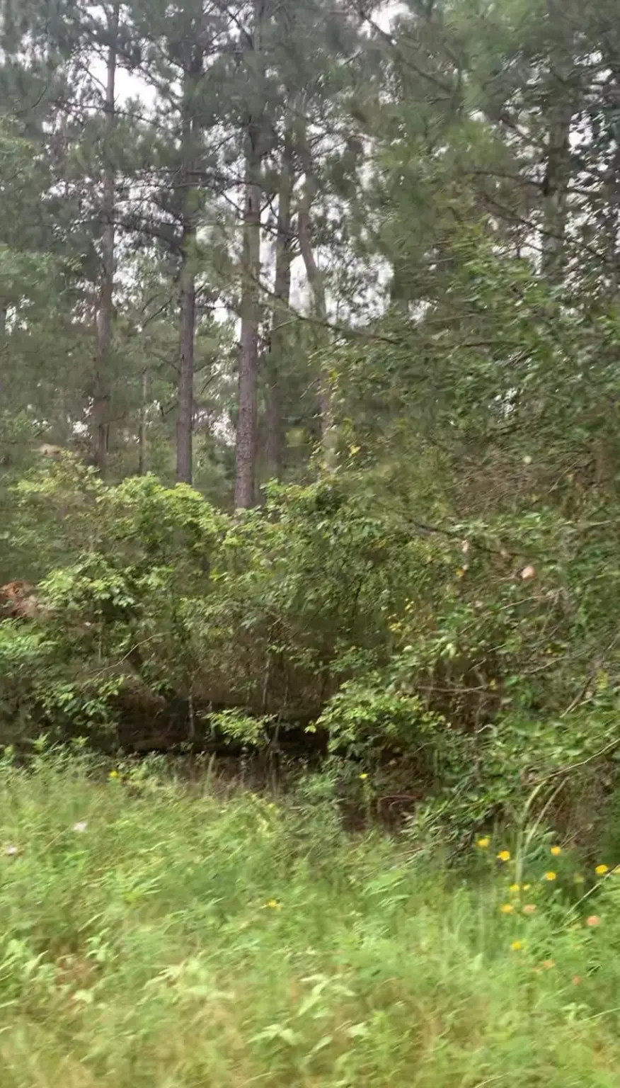 38452 Park View Drive, Hempstead, TX 77445 - Image #3