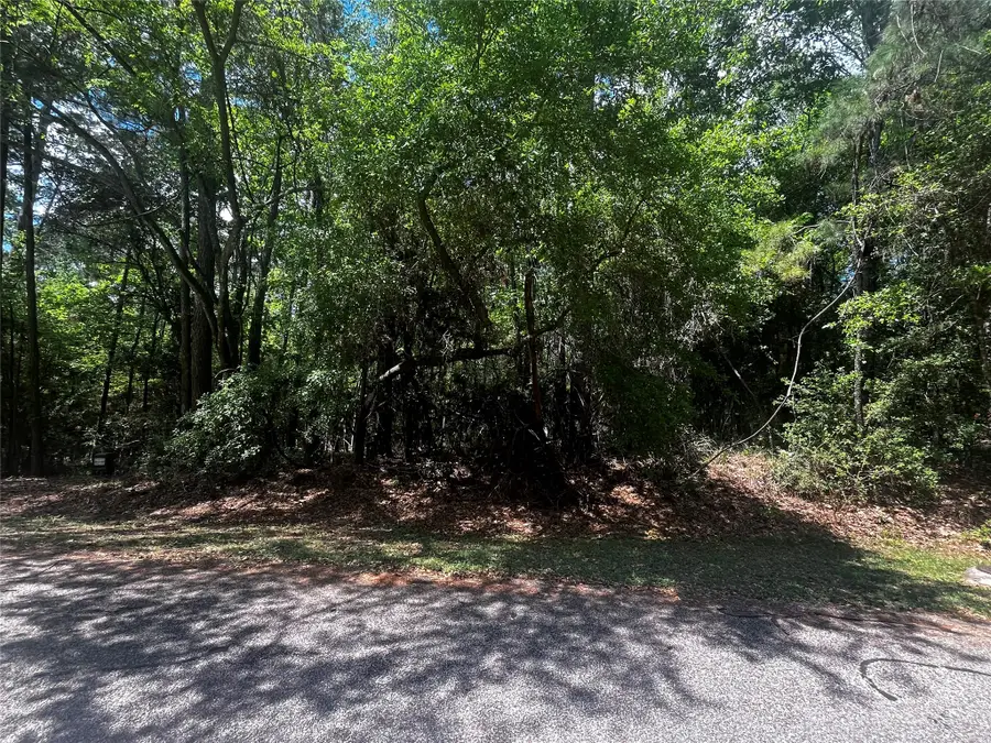 73 Sunny Hill Drive, Coldspring, TX 77331 - #2