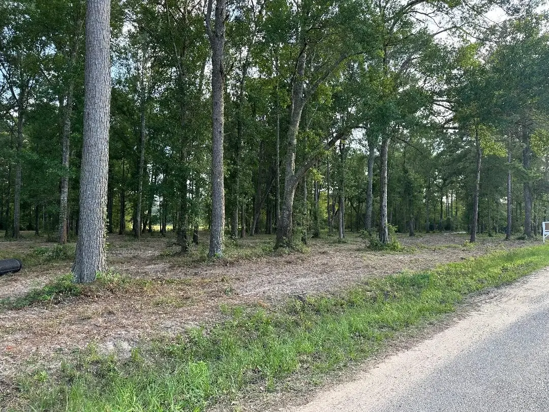 Tract 1-000 TBD Blackburn Dr, Splendora, TX 77372 - #1