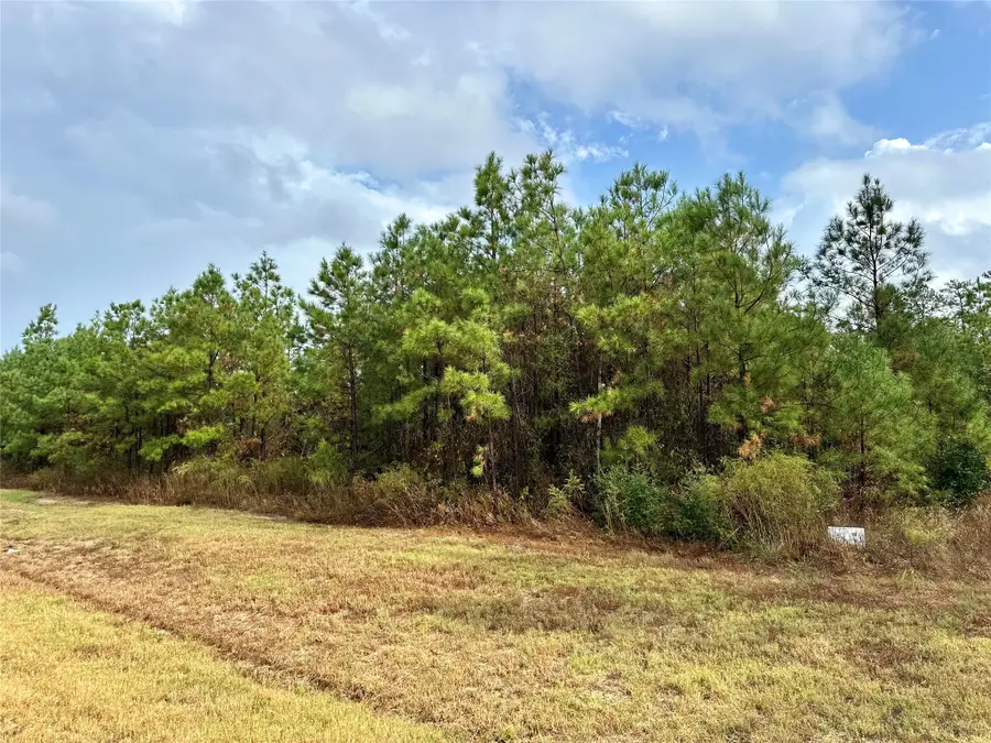 15886 Wood Grove Way, Willis, TX 77378 - #2