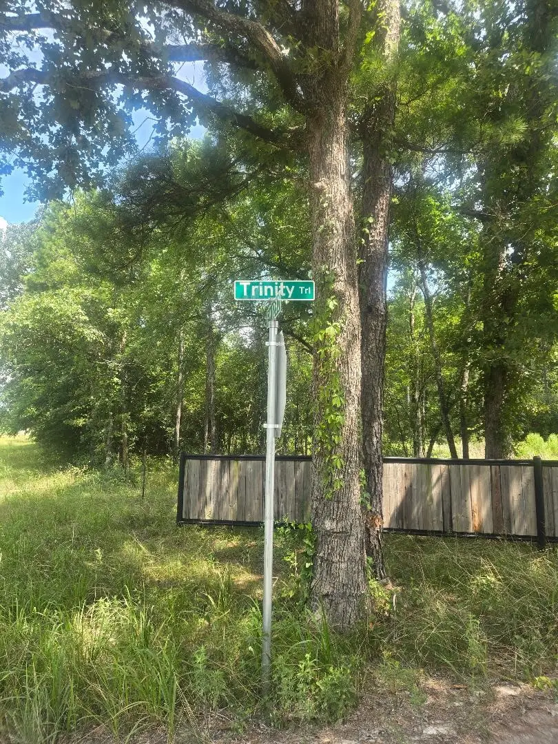 PHASE 2 Calhoun Ct, Lovelady, TX 75851 - #3