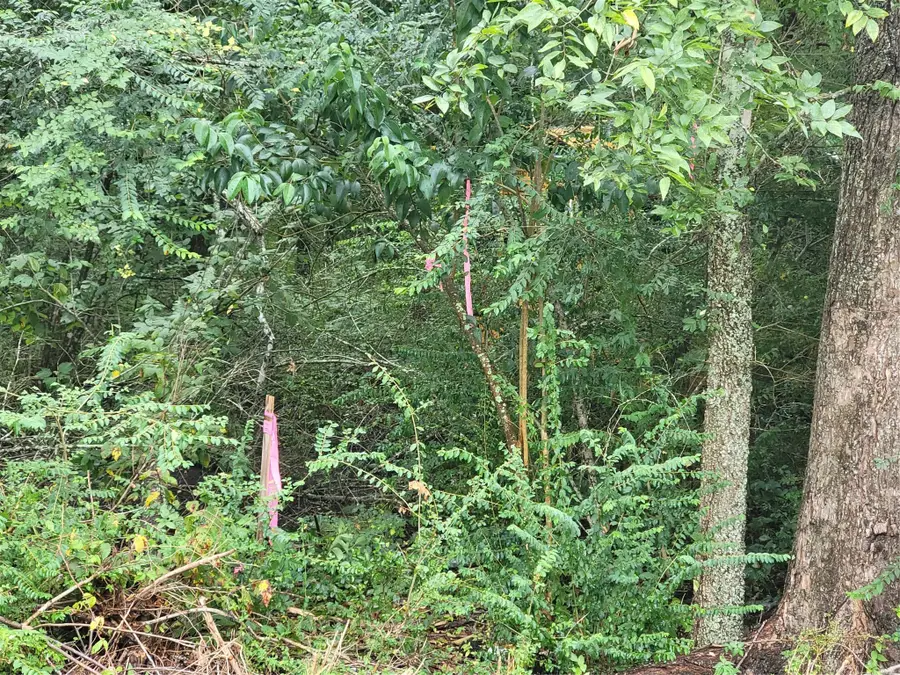 0 Frank, Baytown, TX 77521 - #3