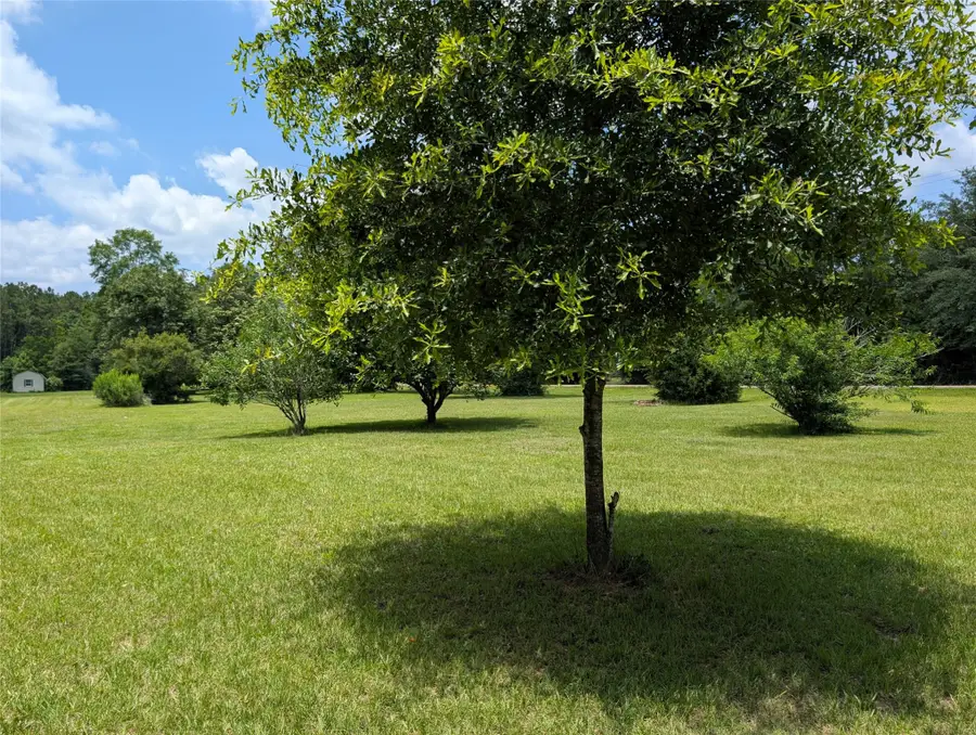 136 Tom Marsh Road, Livingston, TX 77351 - #2