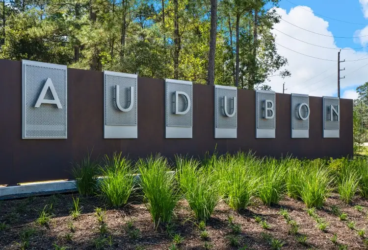 310 Prairie Warbler Street, Magnolia, TX 77354 - #3