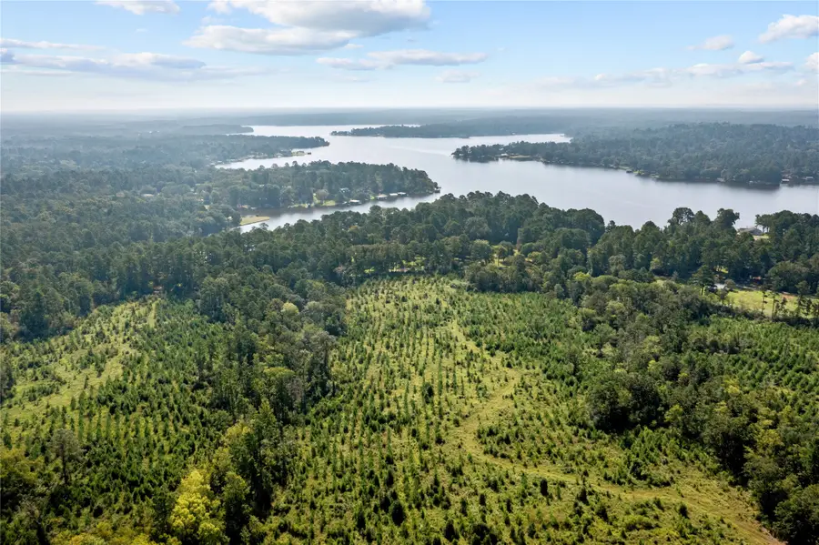 0 Mize Dr, Grapeland, TX 75844 - Image #3