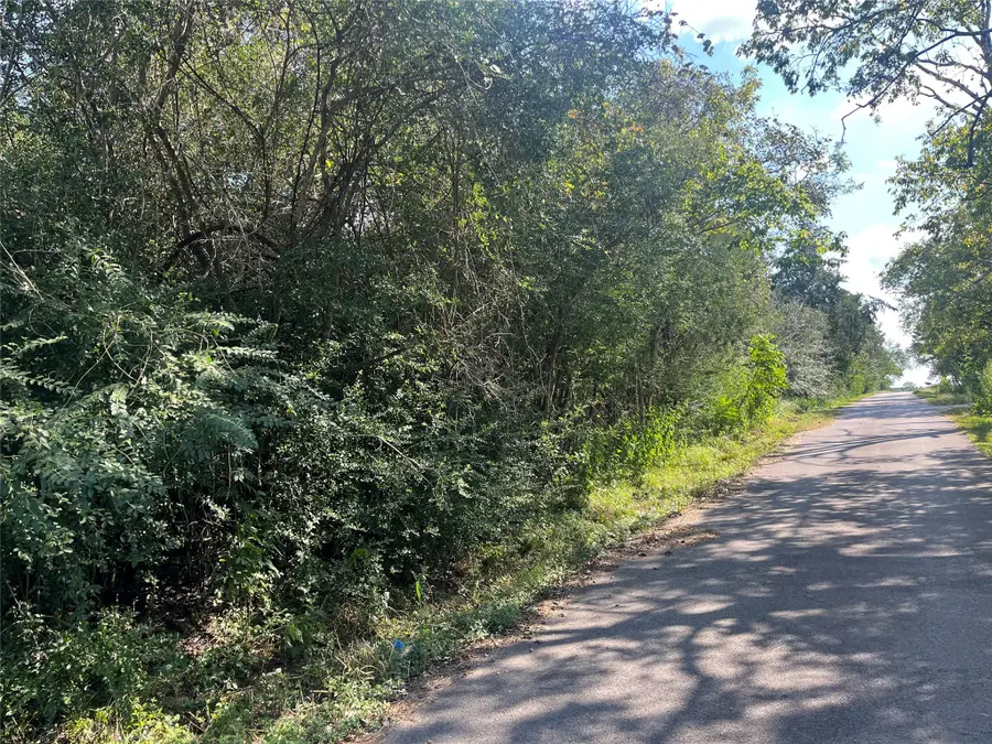 000 Campo Santo Street, San Felipe, TX 77474 - Image #2