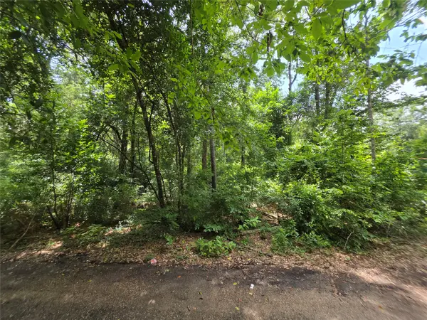16816 Mimosa Lane, Splendora, TX 77372