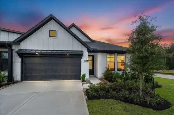 9143 Petroglyph Point Court, Porter, TX 77365