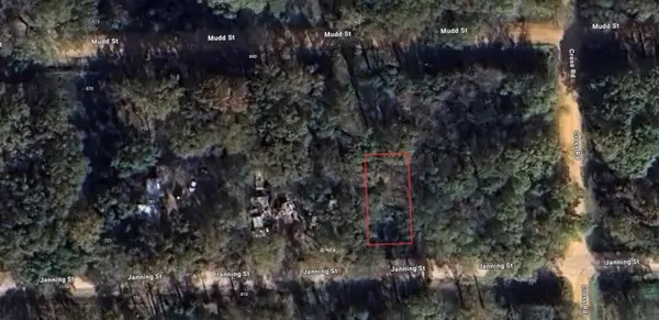 0 Janning Street, Coldspring, TX 77331