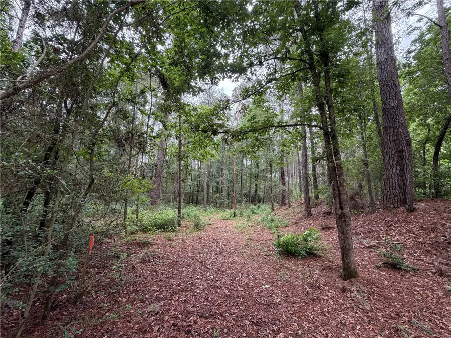 0 Hill Road Lot 4, Willis, TX 77378 - #3