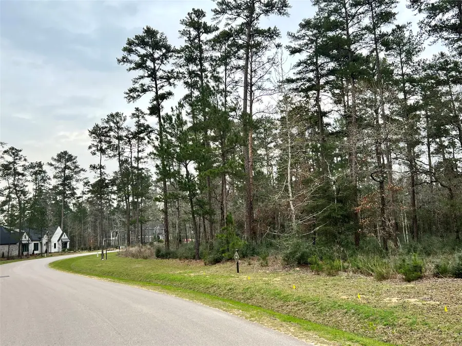 TBD 2 Lily Bean, Northwest Harris, TX 77316 - #3