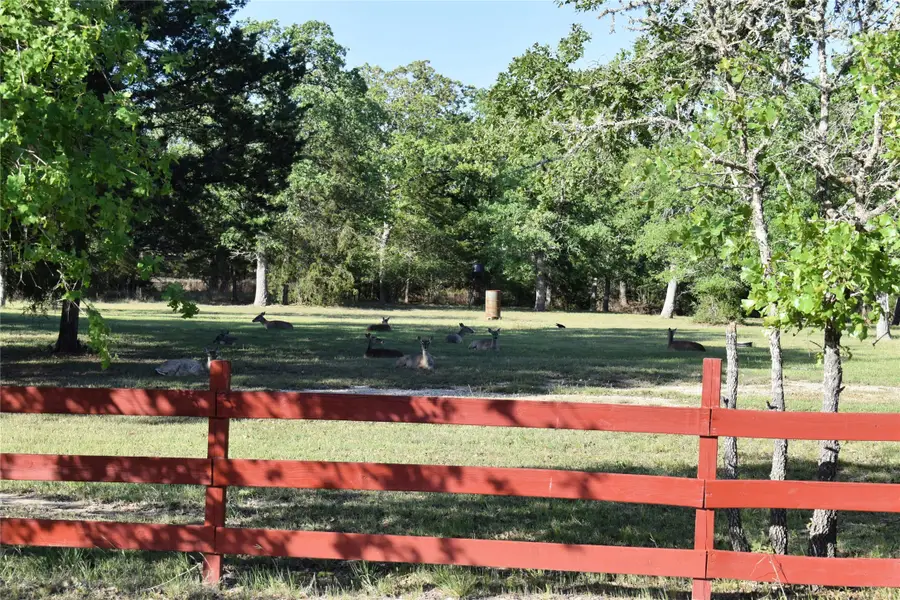 511 Deer Run Trail, Somerville, TX 77879 - Image #3