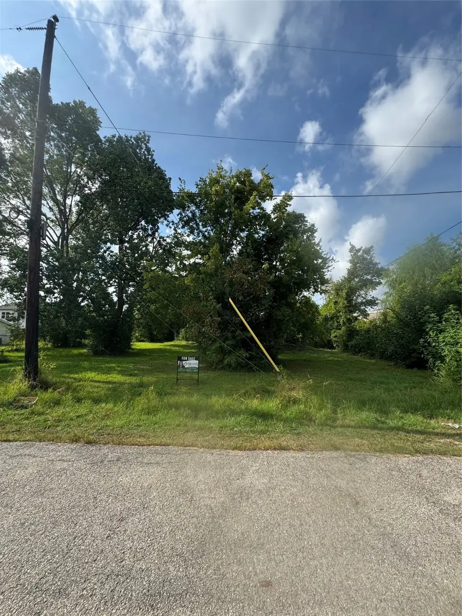 0 Louis Street, Houston, TX 77028 - Image #2